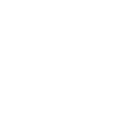 NeuralNeptune AI mark